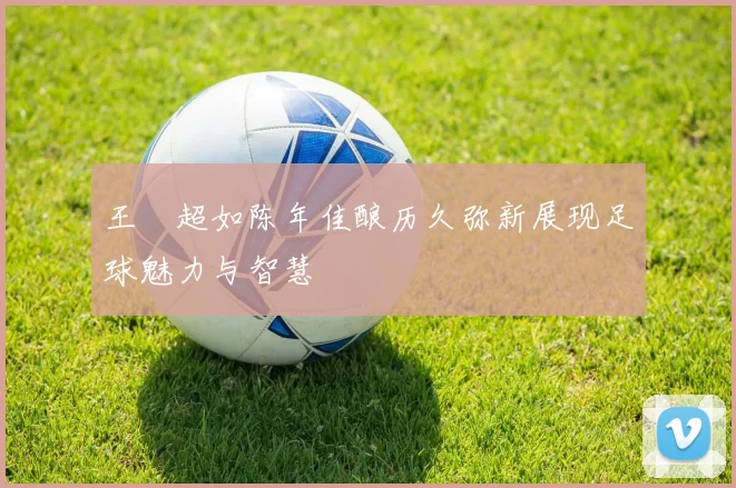 王燊超如陈年佳酿历久弥新展现足球魅力与智慧