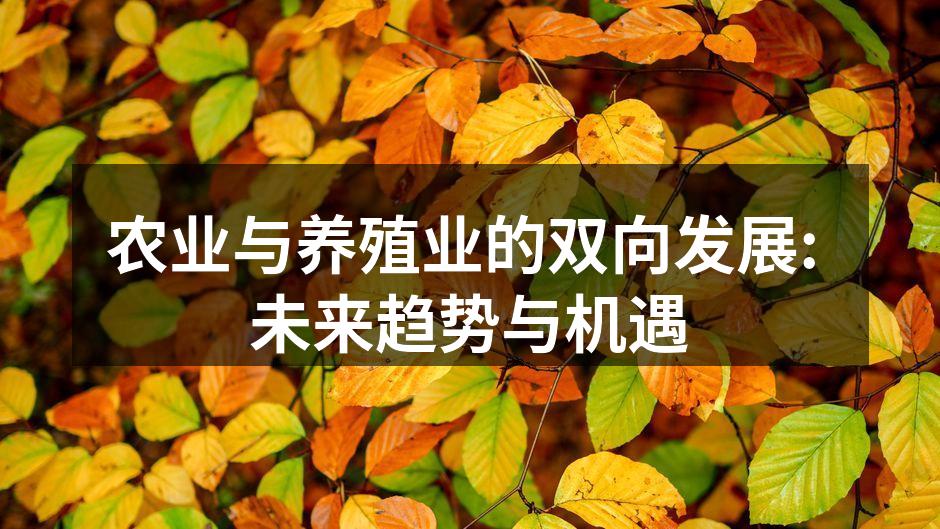 农业与养殖业的双向发展: 未来趋势与机遇